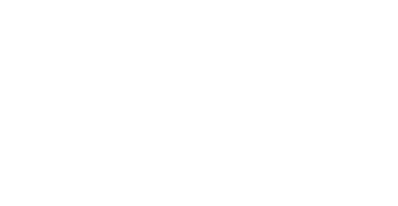 aras_salvage_beyaz_logo